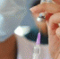 Началась прививочная кампания против клещевого энцефалита - Режевская ЦРБ